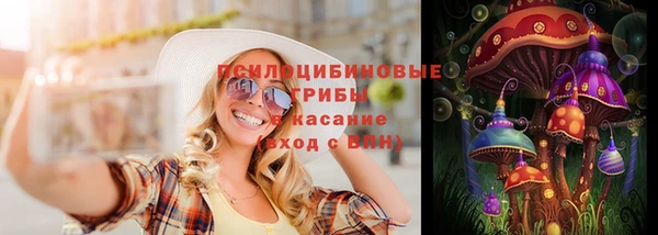 трава Карпинск
