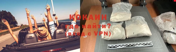 трава Карпинск