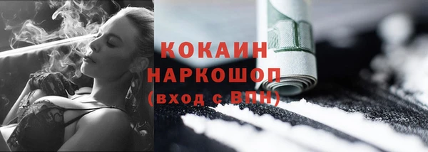 трава Карпинск