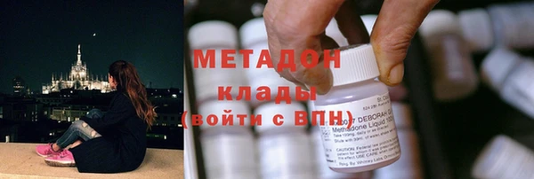 трава Карпинск