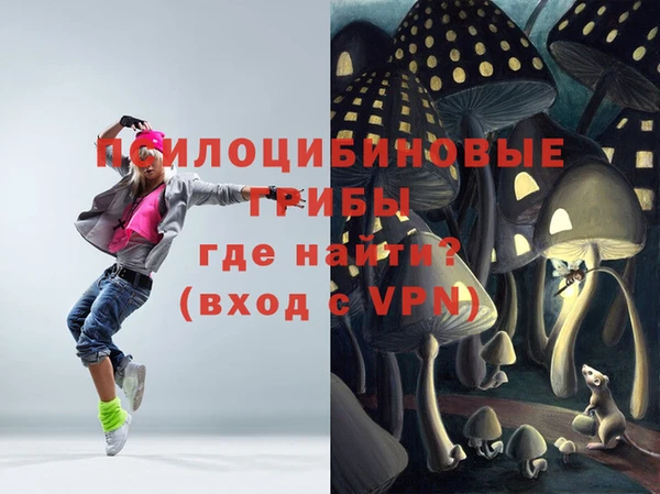 дурь Касимов