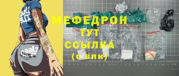 трава Карпинск