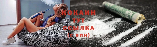 трава Карпинск