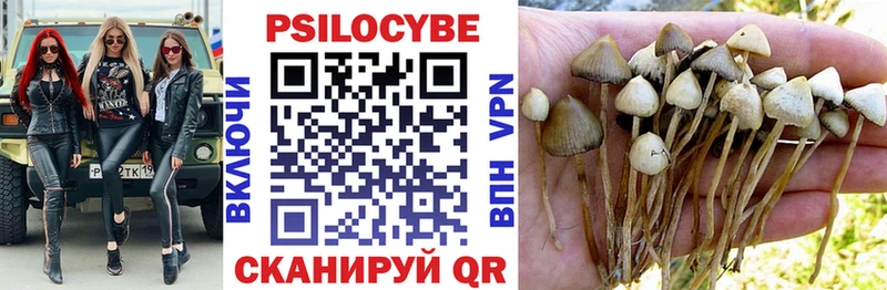 Галлюциногенные грибы Psilocybe  Купить  Валдай 